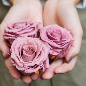 Meet your Posher, Ali